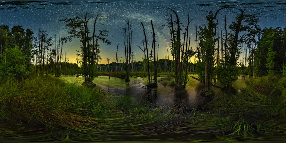 Grumsiner Forst - Moor - Brackensee Halbinsel 1 Astrofotografie