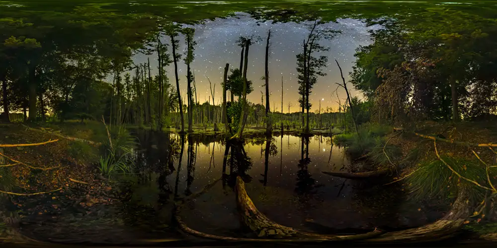 Grumsiner Forst - Moor - Brackensee Halbinsel 3 Astrofotografie