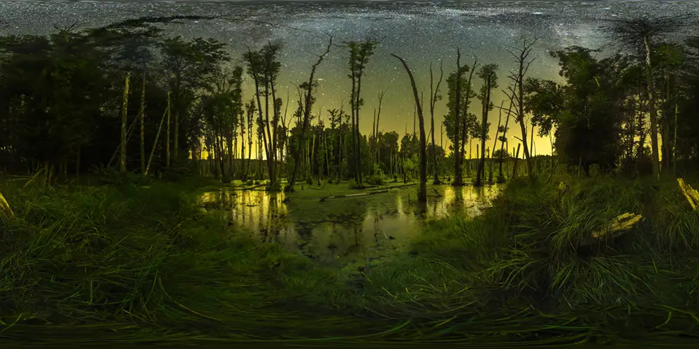 Grumsiner Forst - Moor - Brackensee Halbinsel 5 Astrofotografie