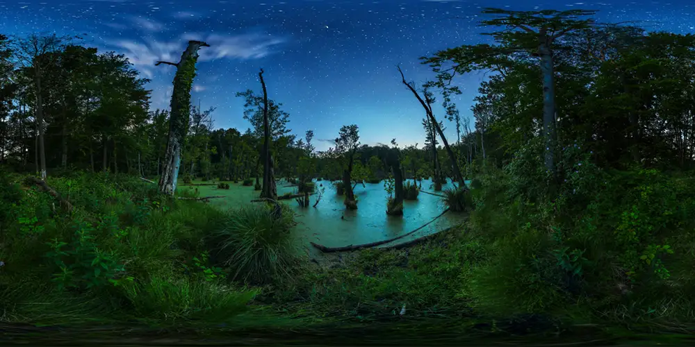 Schorfheide bei Liepe - Kleines Rohrbruch Astrofotografie
